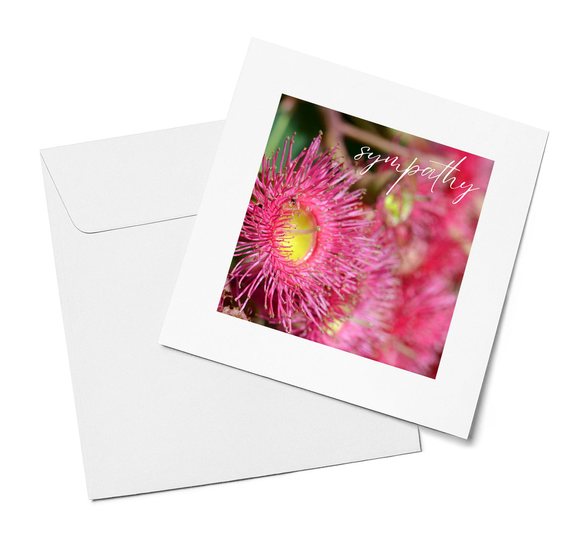 Pink Flowering Gum – Sympathy