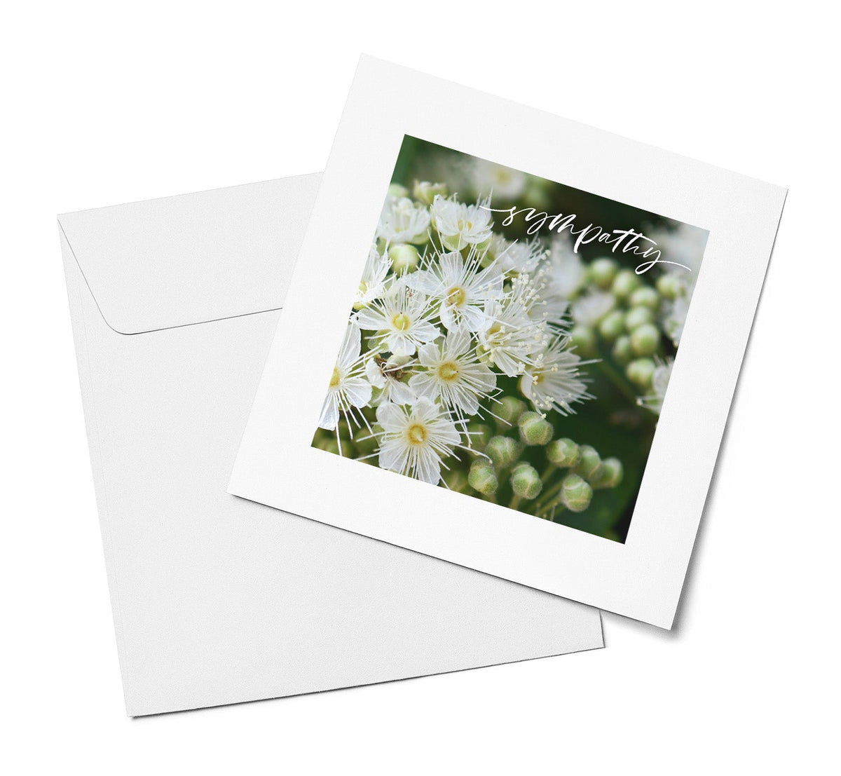 Sympathy cards