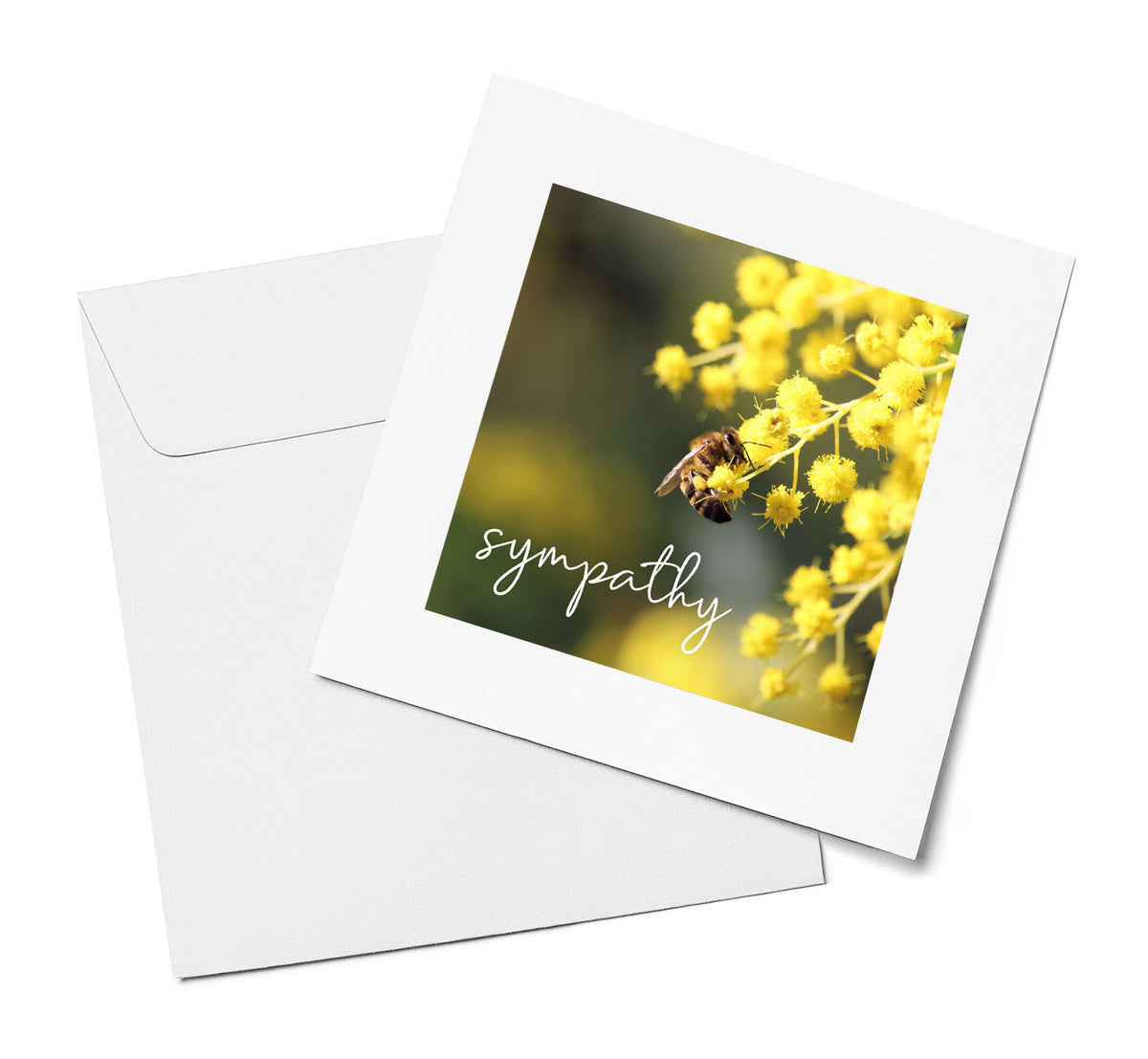 Wattle & Bee - Sympathy