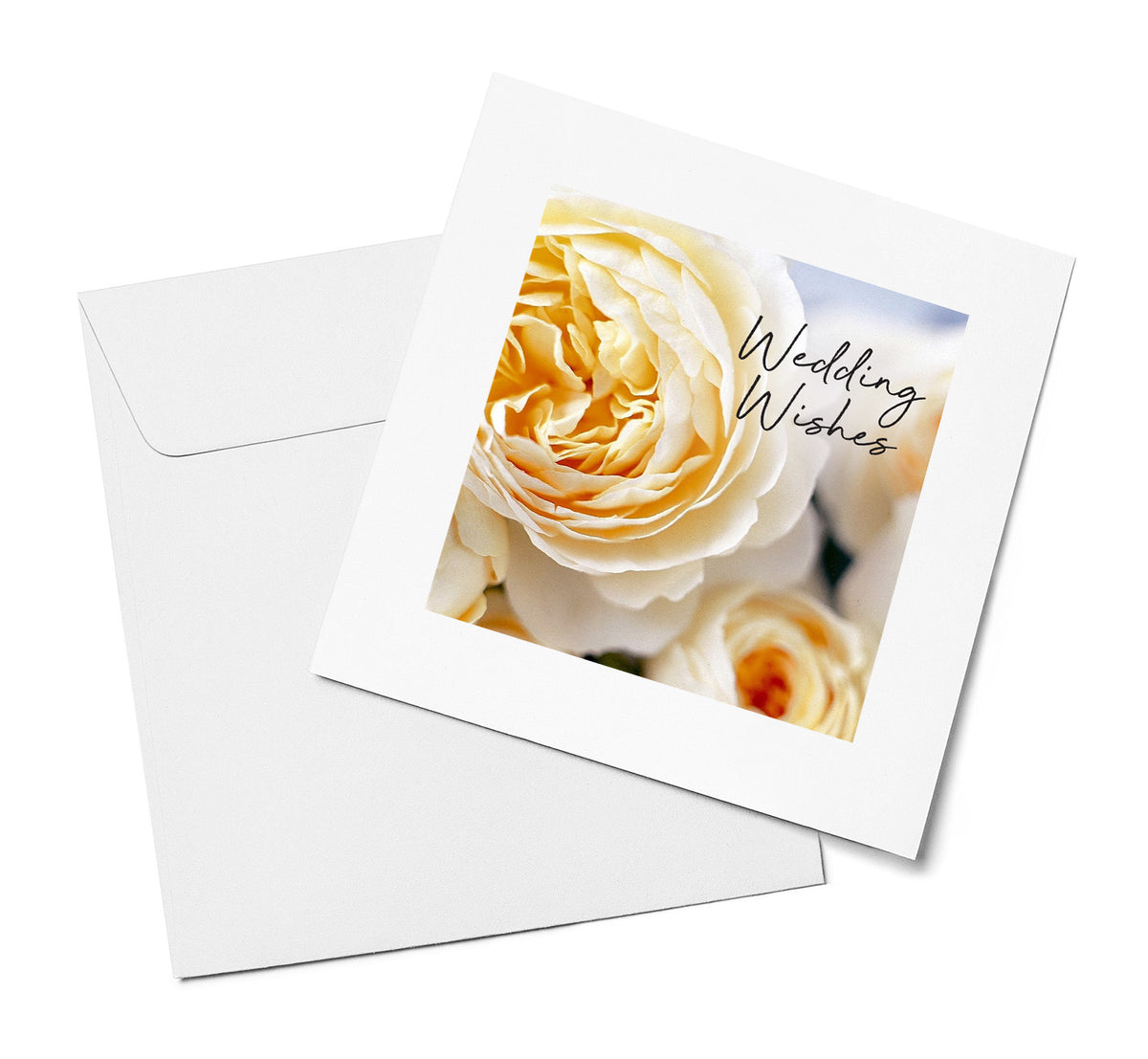 Cream Rose – Wedding Wishes
