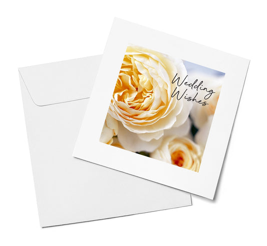 Cream Rose – Wedding Wishes