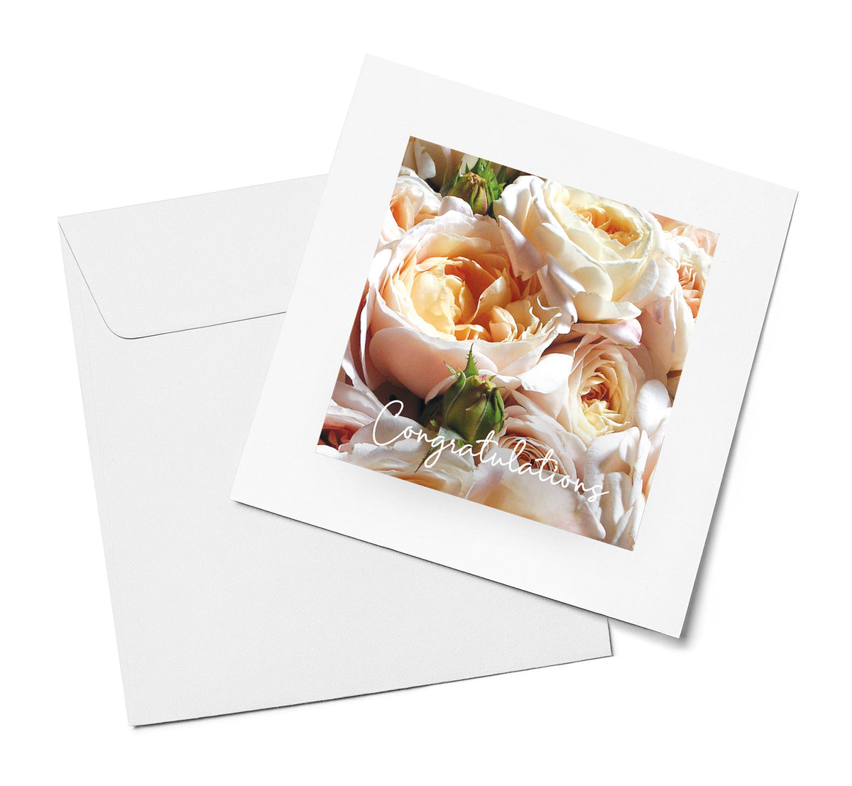 Peach Garden Roses – Congratulations