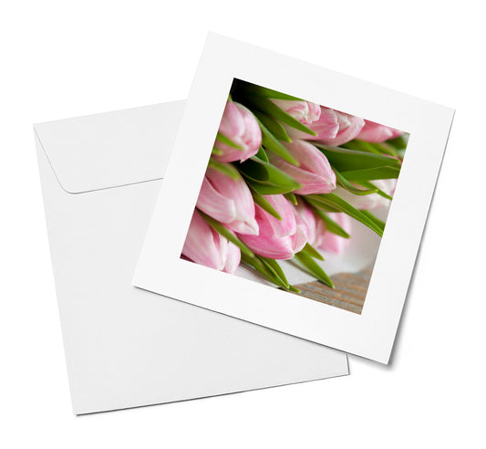 Pink Tulips