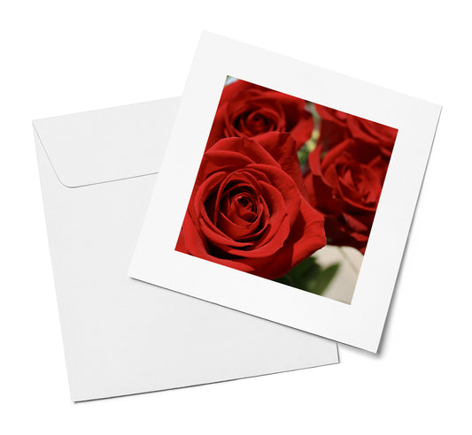 Red Roses