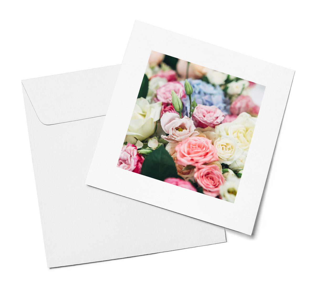 Roses & Blooms