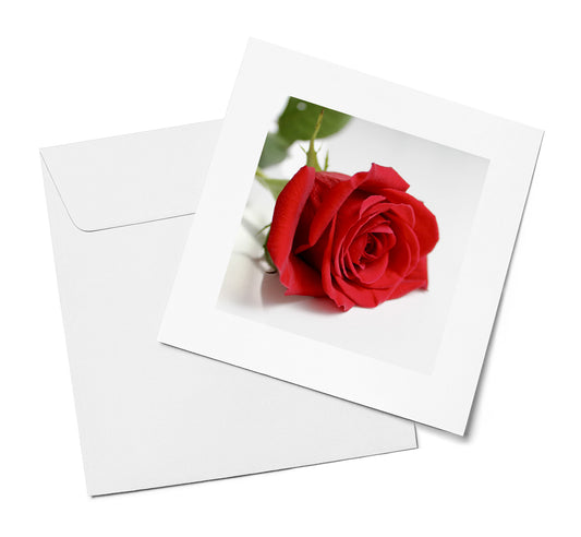 Single Red Rose