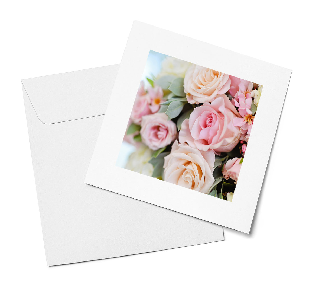 Soft Pink Roses